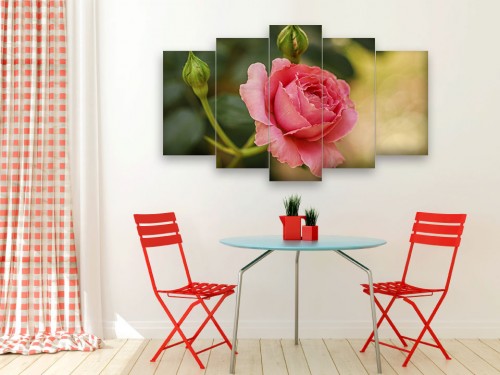 Interior in a modern style with two red chairs and blue table