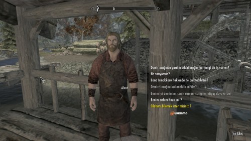 skyrim4.jpg