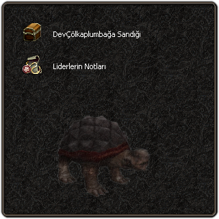 turtle.png