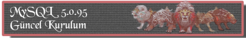 mysql-kurulum.png