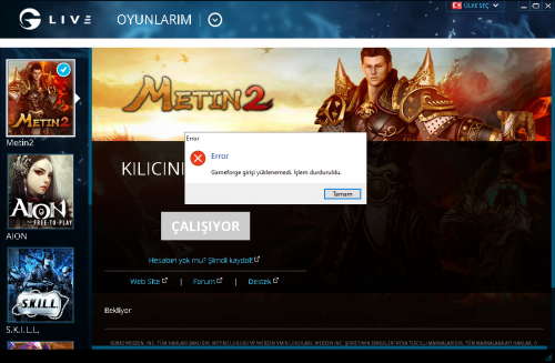 metin2problem.png