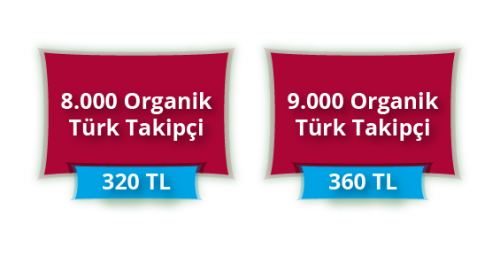 Organik Takipçi Kasımı 08