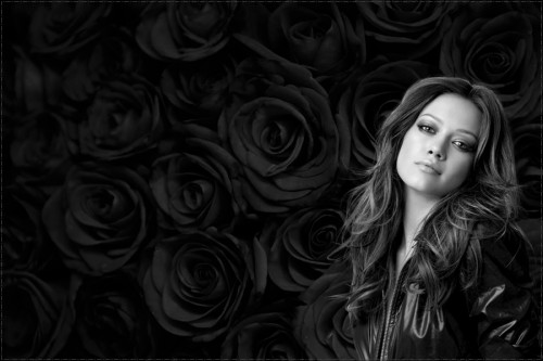 rose-3492c719_1280.jpg