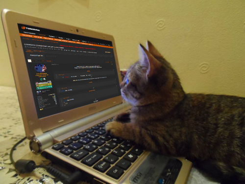 kedi-videolari-sagliniza-iyi-geliyor.png