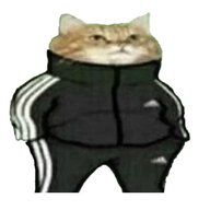 ORJI.jpg
