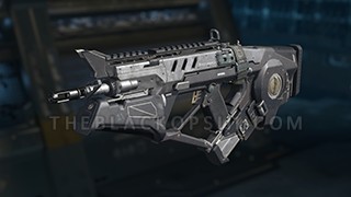 razorback-main-3.jpg