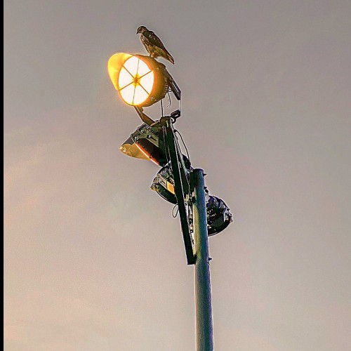 stadium_lights_installed_3s_golf-1.jpg