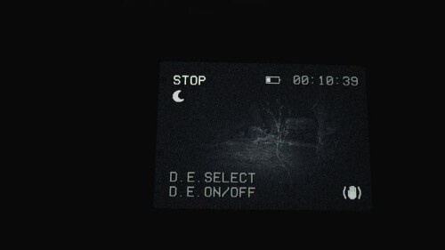 80683437.jpg