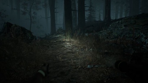 80704421.jpg