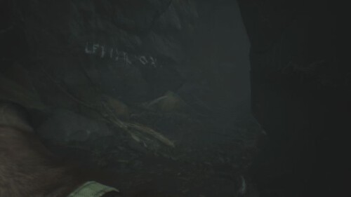 80792750.jpg