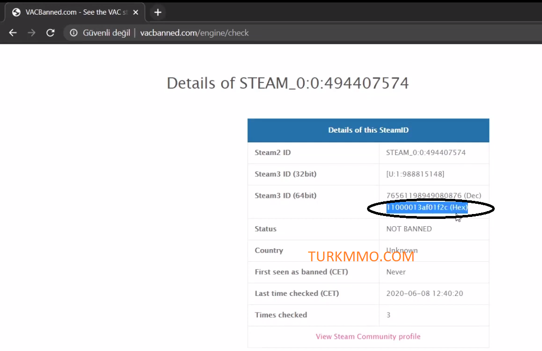 How to get FiveM Steam HEX ID 