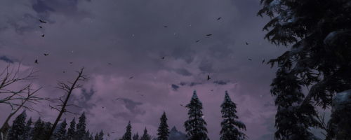 image07027e021997f0cb.png
