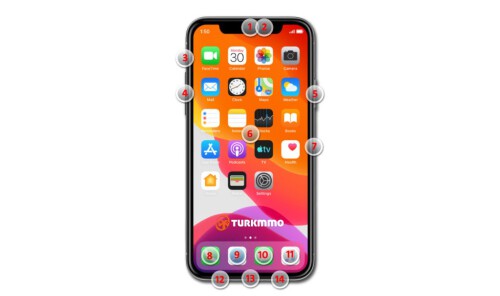 iphone 11 front 1024x607