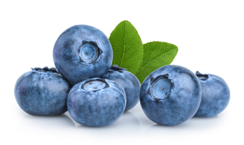 BLUEBERRY.jpg