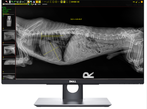 Veterinary digital x-ray equipment - guaranteed best value with price and warranty from your trusted source for veterinary x-ray equipment. We offer customers the ability to buy at the level they need. Browse all of Knoveltech used veterinary equipment for sale.

https://knoveltech.com/veterinary-x-ray/