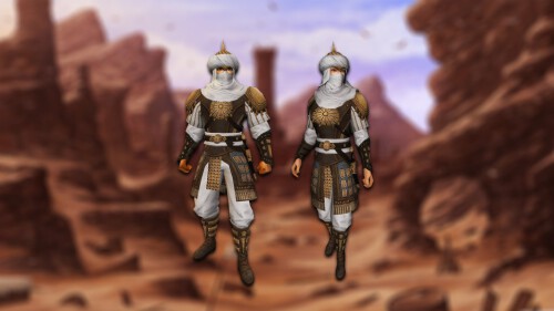 costumes desert bandit2