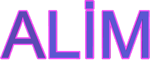 4.gif