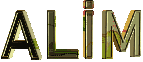 8.gif