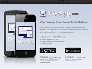 flexapp.jpg