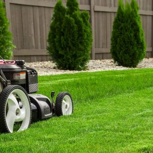 lawn-mowing-e1618129557872-1-300x300.jpg