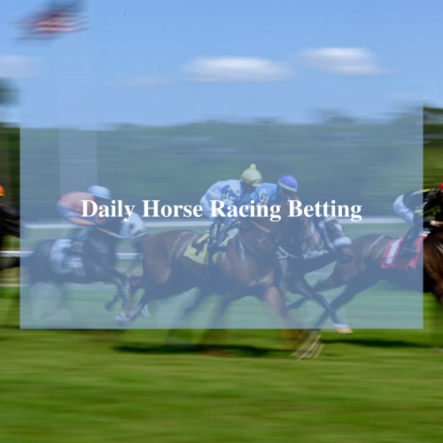 HouJeng gave Benter the idea to bet on horses in Hong Kong.Betting on horse racing or horse betting commonly occurs at many horse races. If you want to bet on Hong Kong racing, then you can place your bets at HouJeng. HouJeng is organisation providing horse racing, sporting and betting entertainment in Hong Kong.