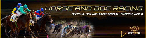 Resized Horse Dog Race Banner