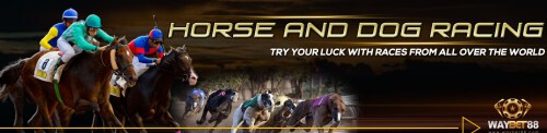 Seeking the best horse racing game random Odds? Waybet88.com is a must-visit website for horse racing fans who want to play using a certified random number generator that a world-famous gaming company has thoroughly tested. For more visit our website.


https://waybet88.com/horse-dog-racing/