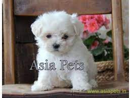 download---2022-01-01T205826.936.jpg