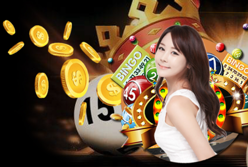 Searching for the toto 4d lottery in singapore? Waybet88.com is the most trusted website that gives players a wonderful experience while playing with lots of excitement. Check out our website for more information.


https://waybet88.com/4d-toto/