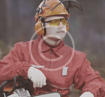 g2.jpg