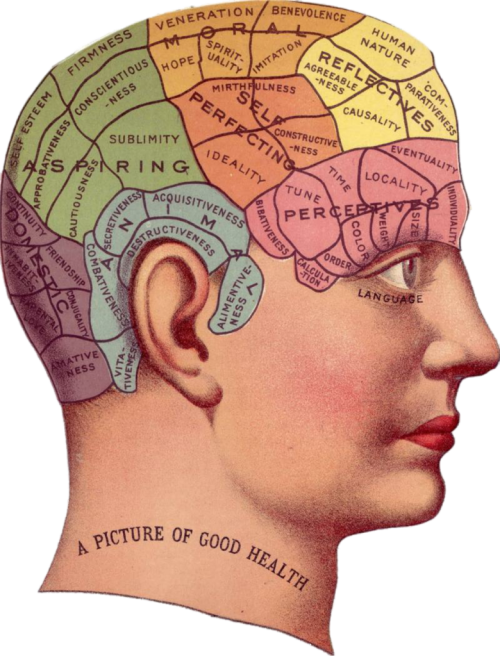 vintage-g306cf6644_1280-1-780x1024-1.png