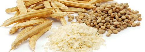 banner-1.jpg