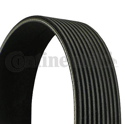 CONTI-10PK1425.jpg