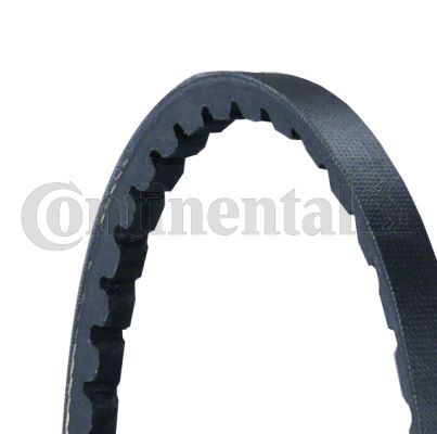 CONTI-10X690.jpg