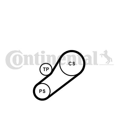 CONTI-4PK735K1.jpg
