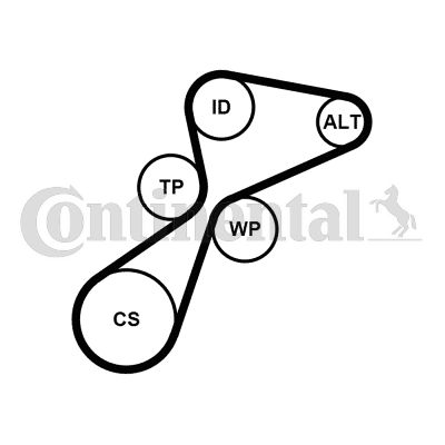 CONTI-5PK1105K1.jpg