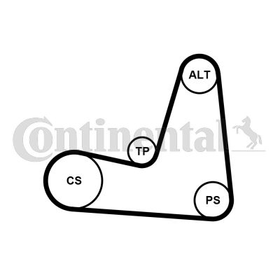 CONTI-5PK1135K1.jpg