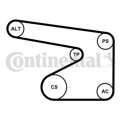 CONTI-5PK1355WP3.jpg