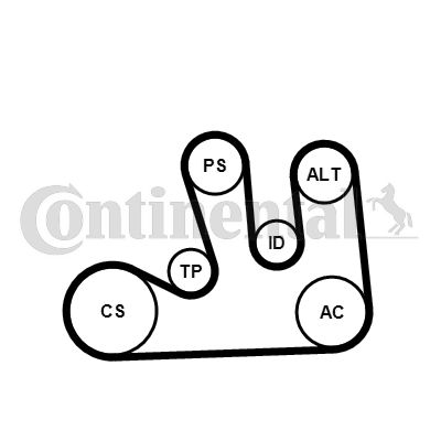 CONTI-5PK1750K1.jpg