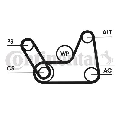 CONTI-6PK1019T1.jpg