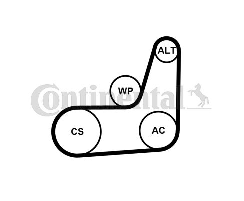CONTI-6PK1019T2.jpg