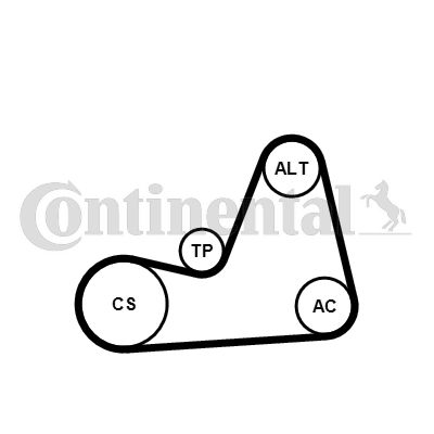 CONTI-6PK1100K1.jpg