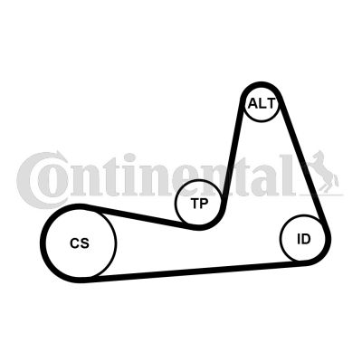 CONTI-6PK1130K1.jpg