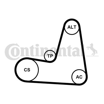 CONTI-6PK1130K2.jpg