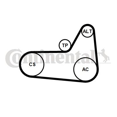 CONTI-6PK1180K4.jpg