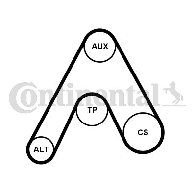 CONTI-6PK1217K3.jpg