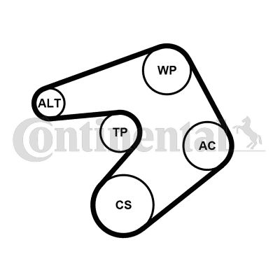 CONTI-6PK1244K1.jpg