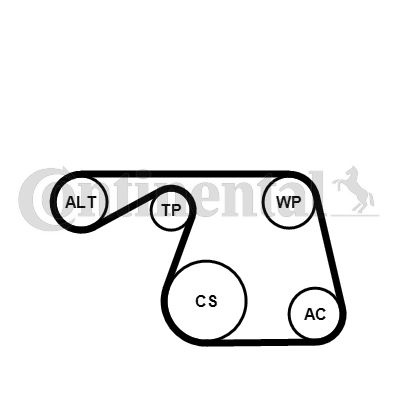 CONTI-6PK1310K1.jpg