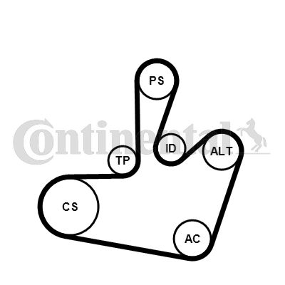 CONTI-6PK1548K1.jpg