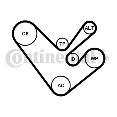 CONTI-6PK1555K4.jpg